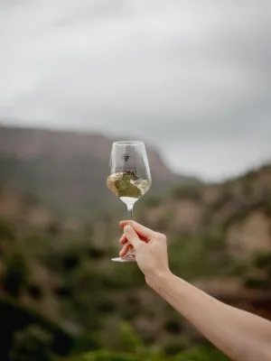 Vi blanc de negres L'Obaga Vinícola Priorat