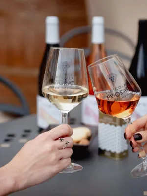 Vi blanc de negres L'Obaga Vinícola Priorat