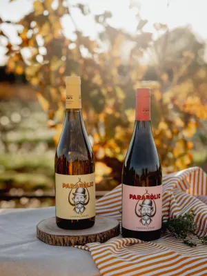 Vi blanc eco Parabòlic Vinícola Nulles 750 ml