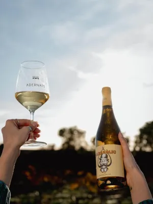 Vi blanc eco Parabòlic Vinícola Nulles 750 ml