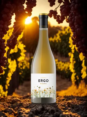 Vi blanc Ergo Ecològic Celler Gerisena 750 ml
