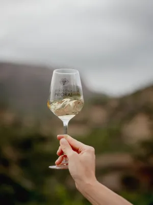 Vi blanc Terrers de Llicorella Garnatxa Blanca Vinícola del Priorat