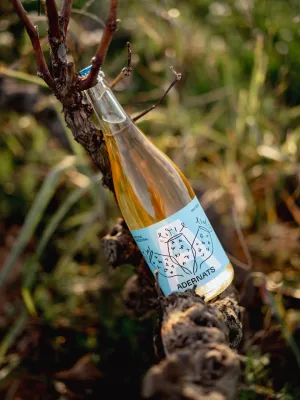 Vi escumós Adernats Ancestral Macabeu Vinícola Nulles 750 ml