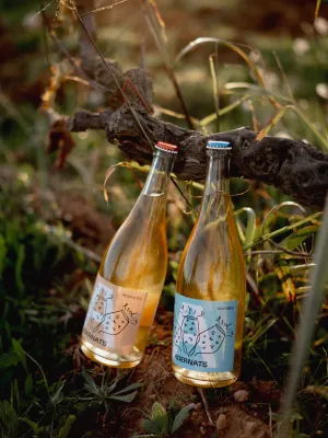 Vi escumós Adernats Ancestral Macabeu Vinícola Nulles 750 ml