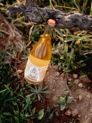 Vi escumós Adernats Ancestral Moscatell Vinícola Nulles 750 ml