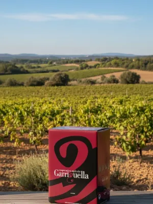 Vi negre Bag in Box Garriguella 3 l