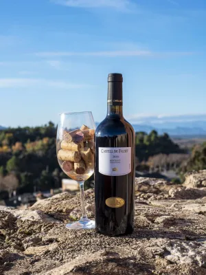 Vi negre Castell de Falset Marçà 750 ml