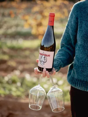 Vi negre eco Parabòlic Vinícola Nulles 750 ml