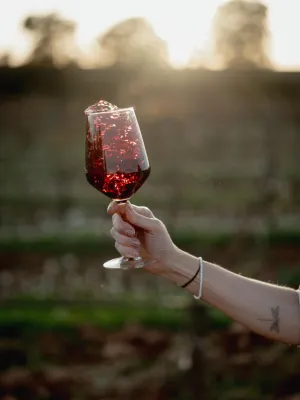 Vi negre eco Temptació Vinícola Nulles 750 ml