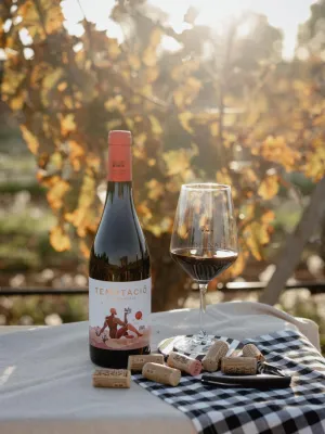 Vi negre eco Temptació Vinícola Nulles 750 ml