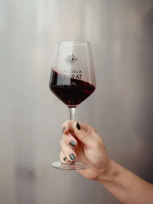 Vi negre Terrers de Llicorella Carinyena Vinícola del Priorat