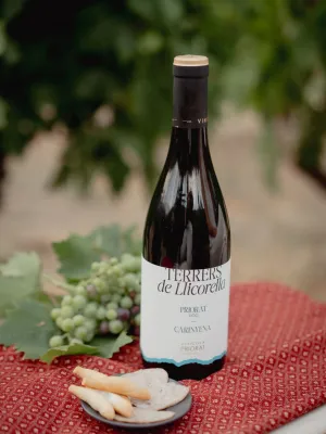 Vi negre Terrers de Llicorella Garnatxa Negre Vinícola del Priorat