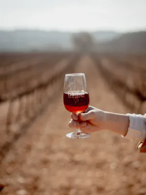 Vi ranci bag in box Celler Vila-rodona 5 l