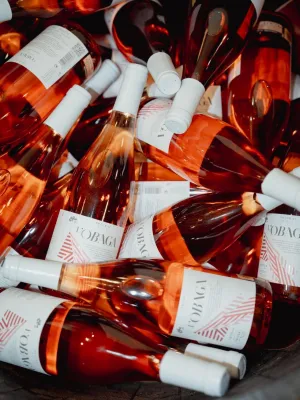 Vi rosat jove L'Obaga Vinícola Priorat