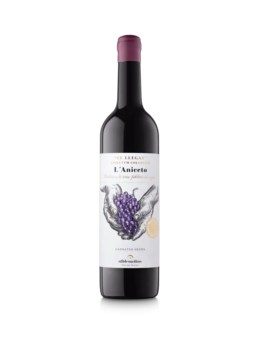 L'Aniceto