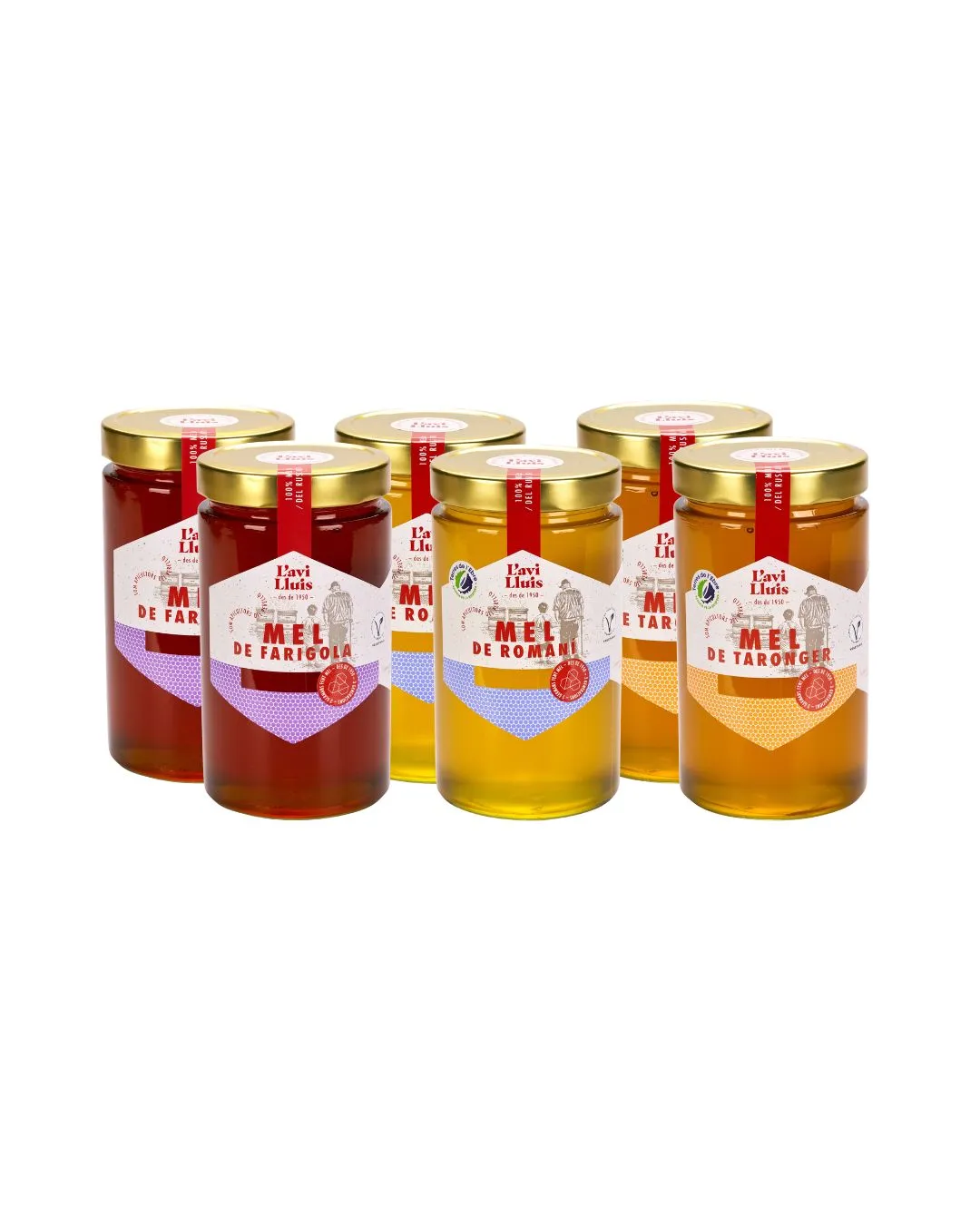 Pack 6 pots de mel variada El Rebost de l'Avi Lluís 970 g