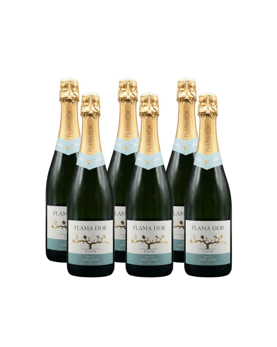 Pack 6 unitats cava brut orgànic Flama d'Or Celler Vila-rodona 750 ml
