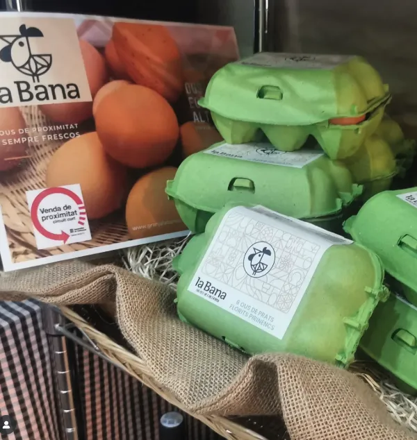 Producte Ous de la Bana Imatge