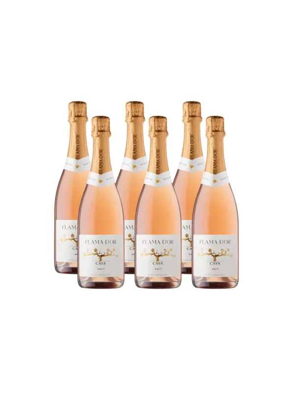 Producte Pack 6 unitats Cava rosat brut Flama d'Or Celler Vila-rodona 750 ml Imatge