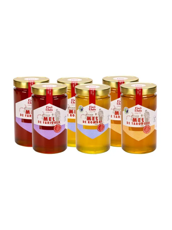 Producte Pack 6 pots de mel variada El Rebost de l'Avi Lluís 970 g Imatge