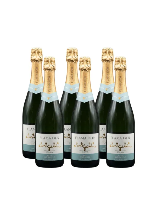 Producte Pack 6 unitats cava brut orgànic Flama d'Or Celler Vila-rodona 750 ml Imatge