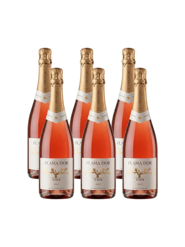 Producte Pack 6 unitats Cava rosat brut Flama d'Or Celler Vila-rodona 750 ml Imatge