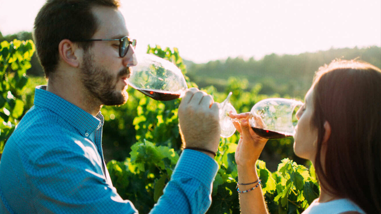 De la vinya al cor: vins i experiències úniques al Priorat